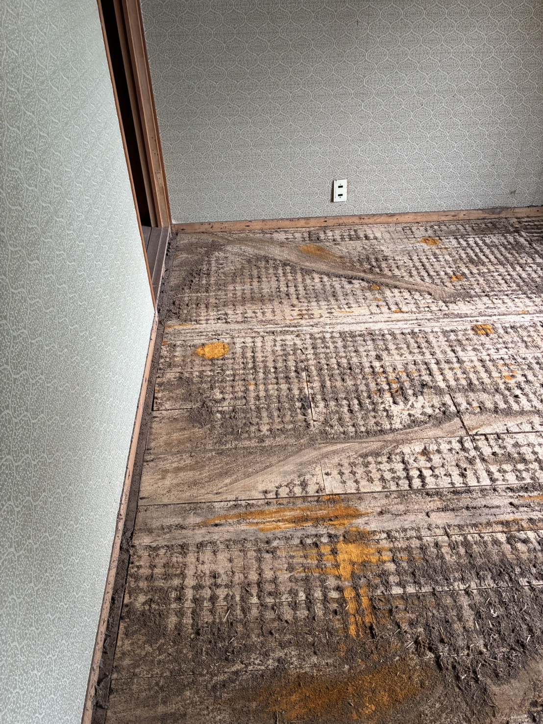 床 施工中(畳を撤去した状態)