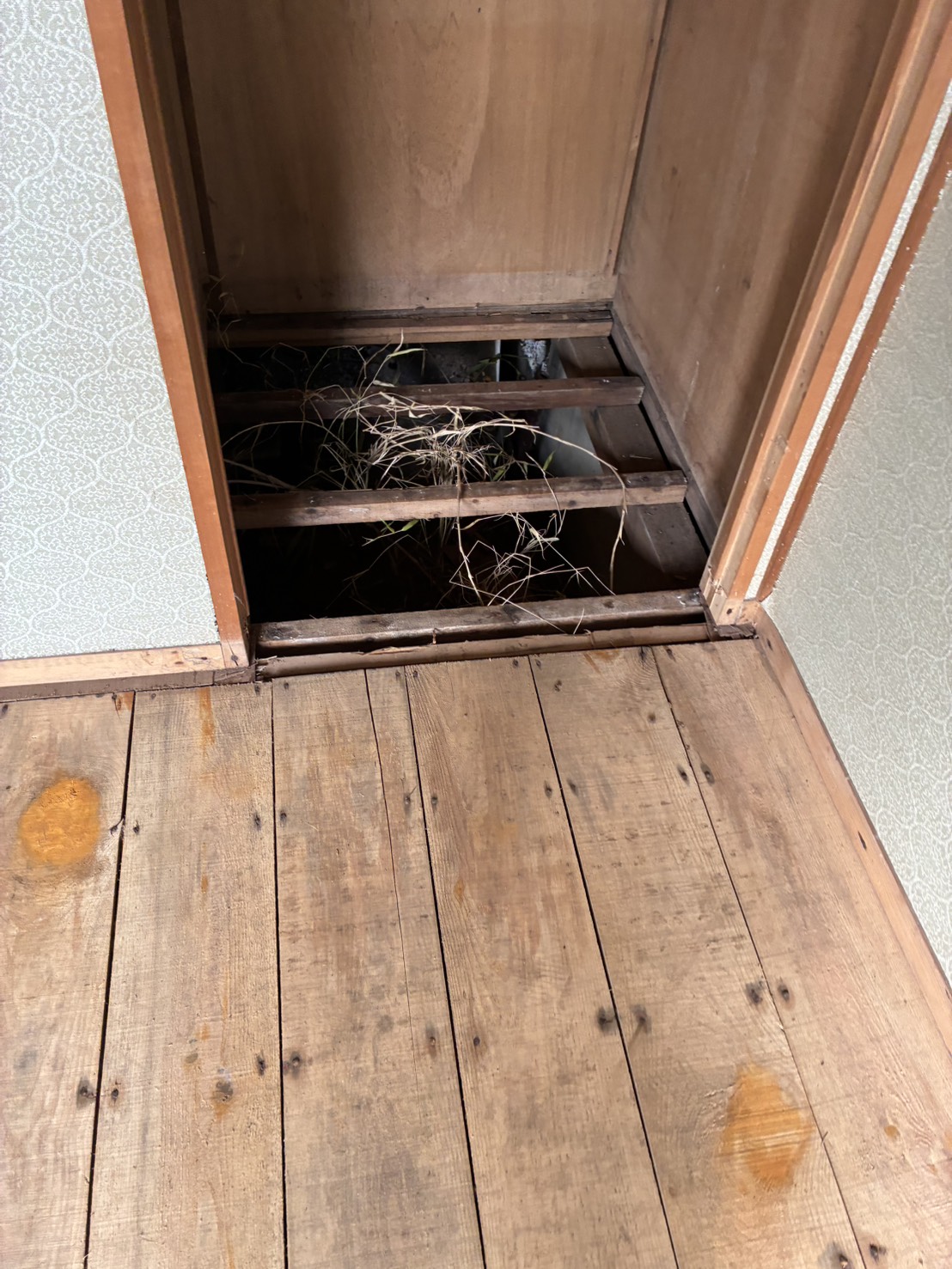 床 施工中(床板を外して床下を確認)